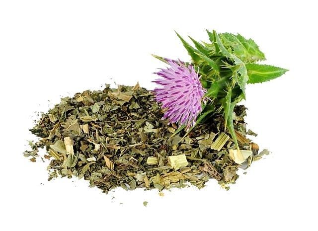 Thistle