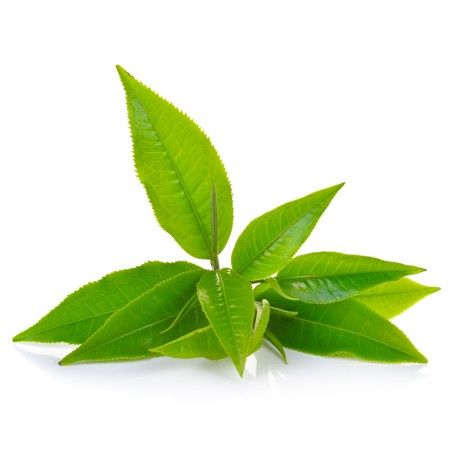 Ανθόνερο Πράσινο Τσάι