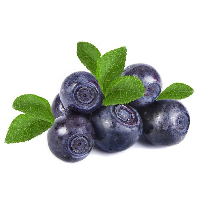 Κάψουλες Bilberry (Μύρτιλο) 70 τεμάχια 600mg