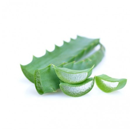 Κάψουλες Αλόη Βέρα (Aloe Vera) 70 τεμάχια 600mg