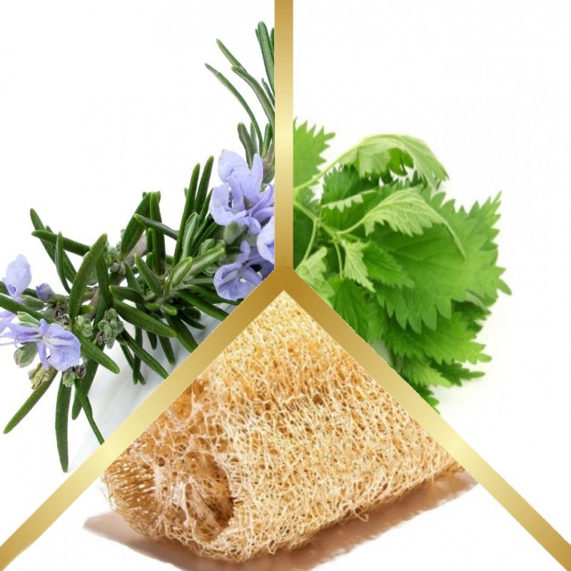 Σαπούνι Ελαιόλαδου Δεντρολίβανο & Τσουκνίδα με Λούφα