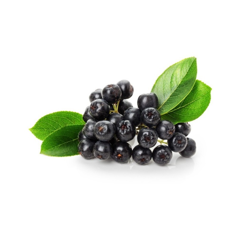 Κάψουλες Αρώνιας (Aronia Berries) 70 τεμάχια 600mg