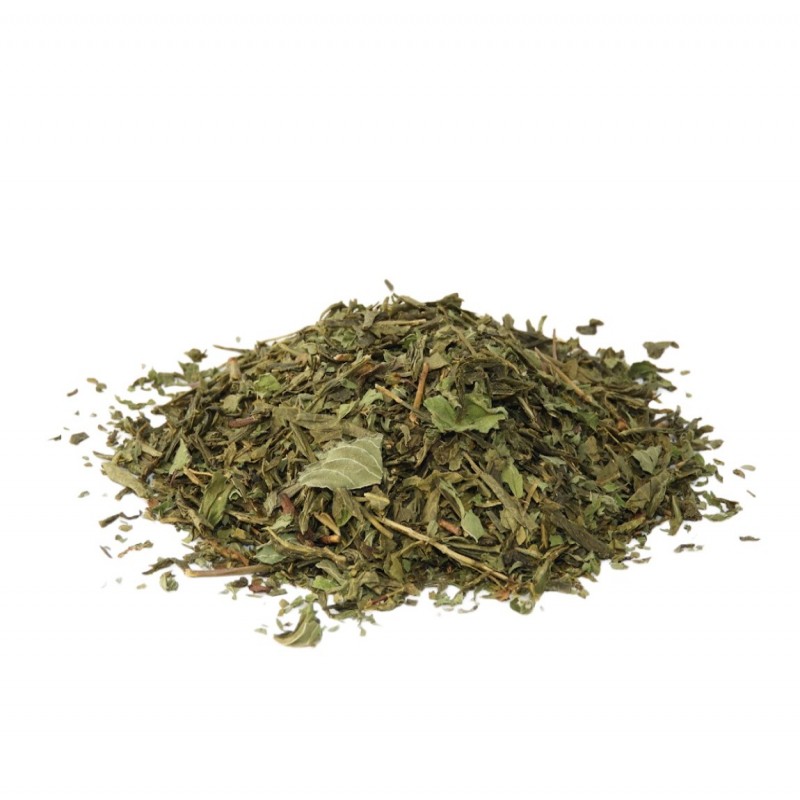 Green Tea Sencha With Mint